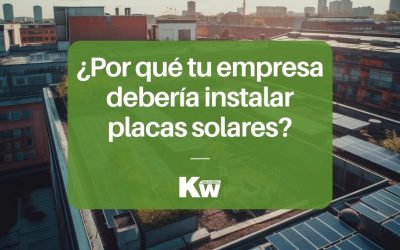 Empresa y eficiencia: ¿Por qué deberías instalar paneles solares?