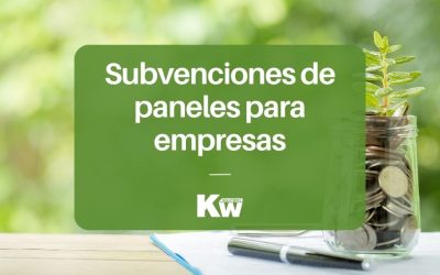 Subvenciones de paneles solares para empresas y autónomos