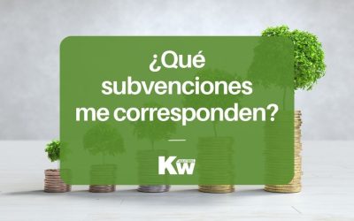 ¿Qué subvenciones para paneles solares me corresponden?